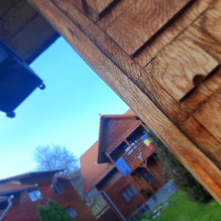 Pensiunea Codru Sălciua de Jos Exteriör bild