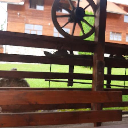 Pensiunea Codru Sălciua de Jos Exteriör bild