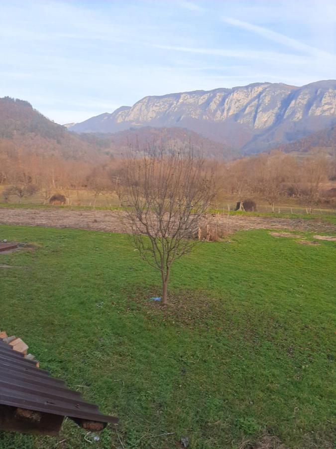 Pensiunea Codru Sălciua de Jos Exteriör bild