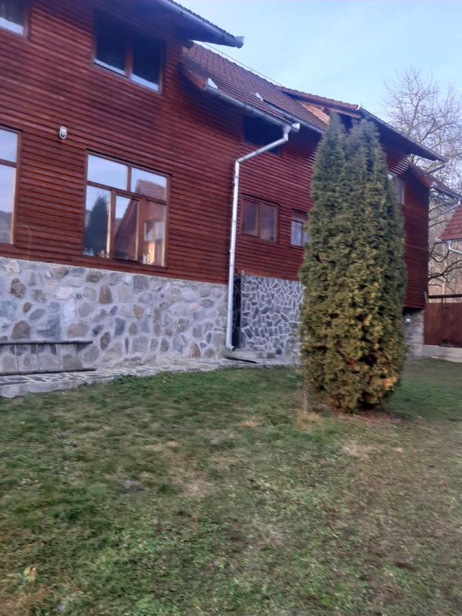Pensiunea Codru Sălciua de Jos Exteriör bild