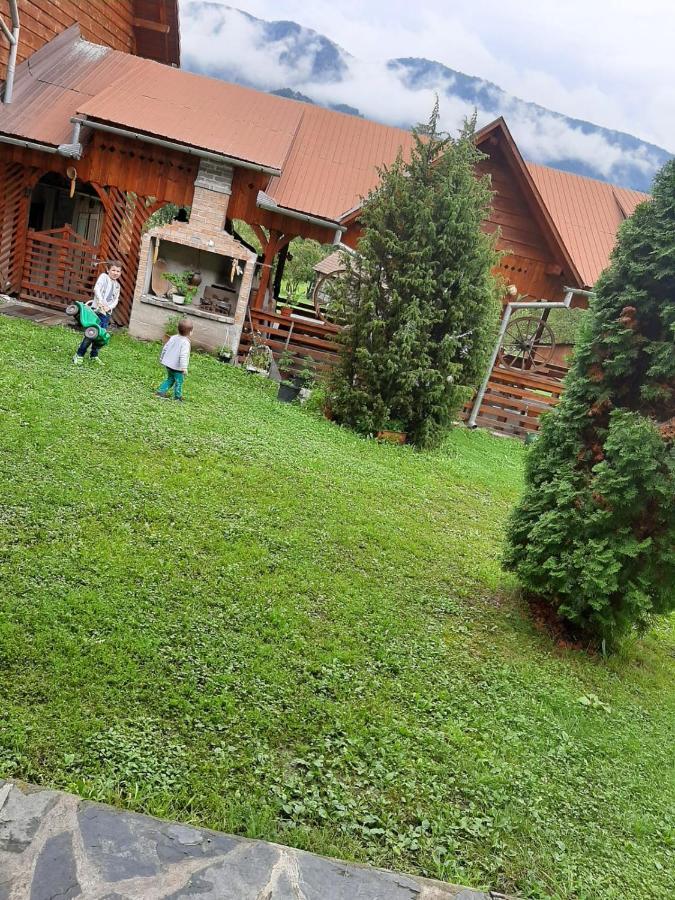 Pensiunea Codru Sălciua de Jos Exteriör bild