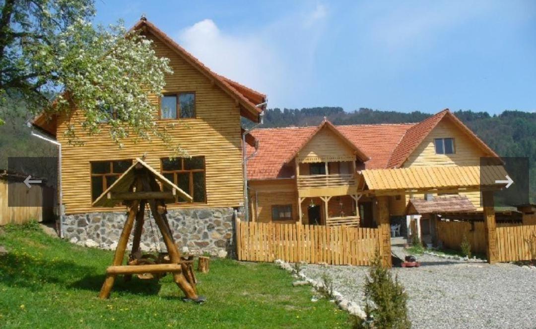Pensiunea Codru Sălciua de Jos Exteriör bild