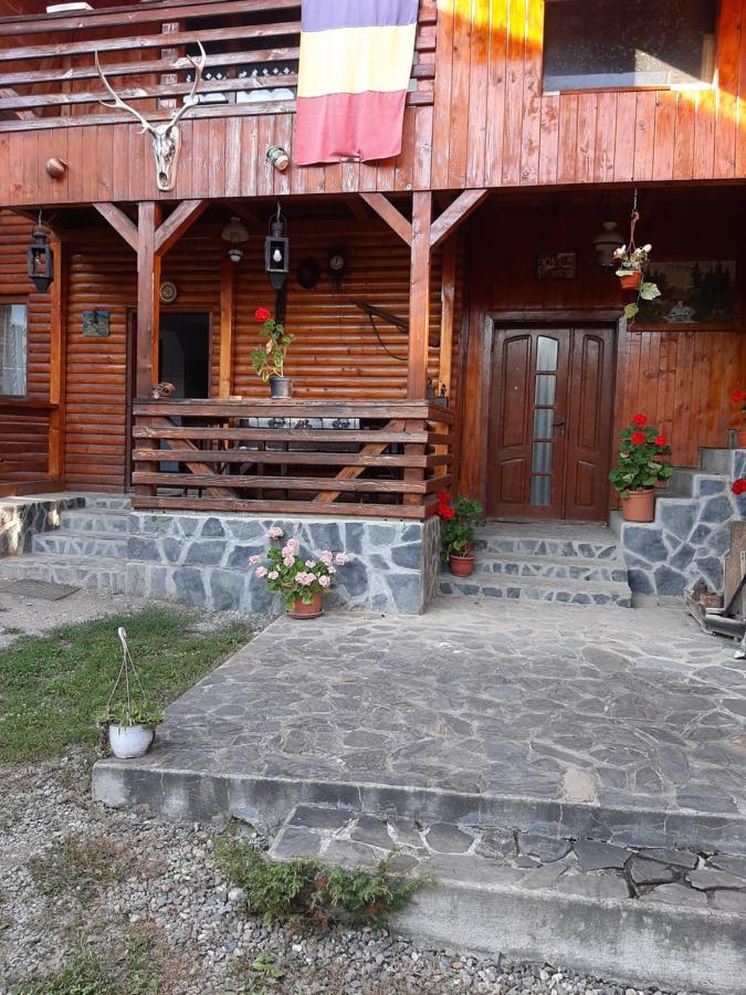 Pensiunea Codru Sălciua de Jos Exteriör bild