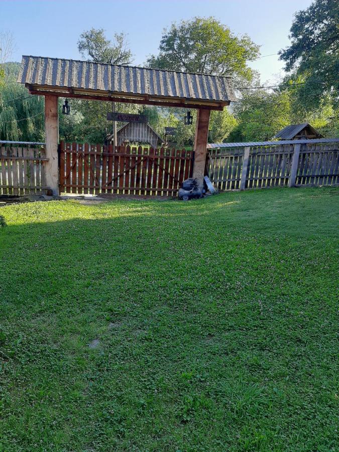 Pensiunea Codru Sălciua de Jos Exteriör bild